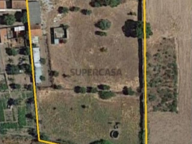 Casa venda em Castelo Branco
