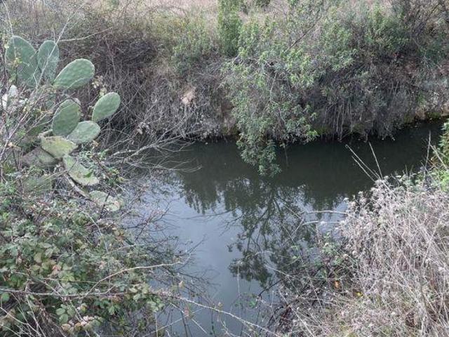 Quinta venda em Fundão