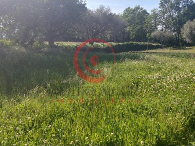 Quinta venda em Chaves, Vila Real