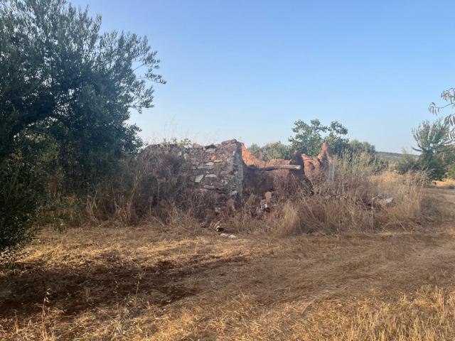 Quinta venda em Serpa, Beja