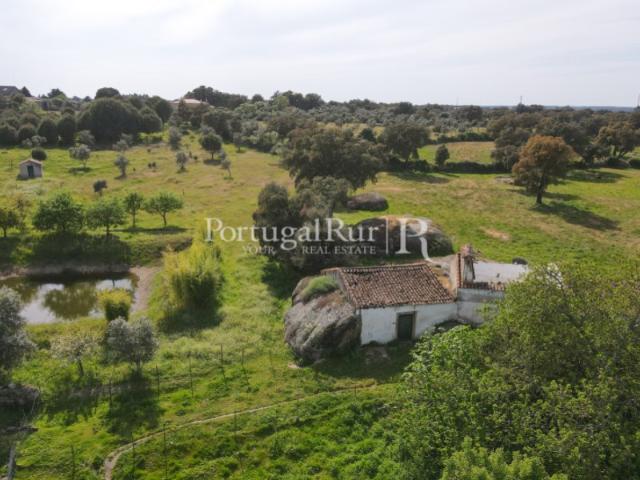 Quinta venda em Nisa, Portalegre