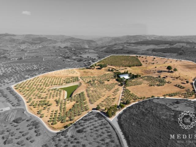 Quinta venda em Nagoselo Do Douro, Viseu