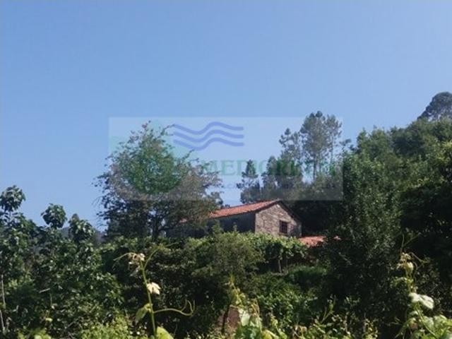 Quinta venda em Sever Do Vouga, Aveiro