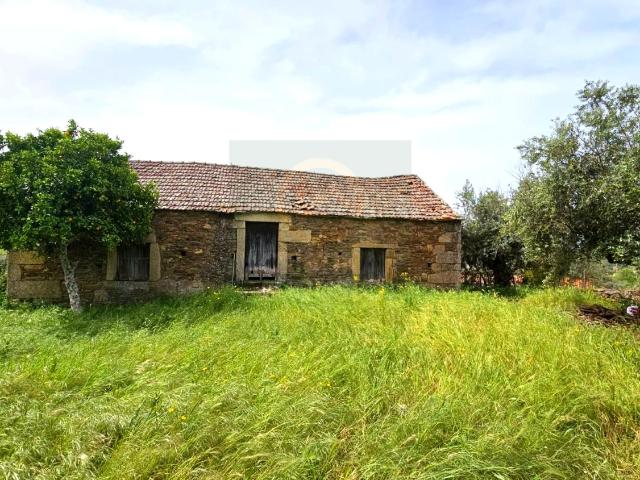 Casa venda em Castelo Branco