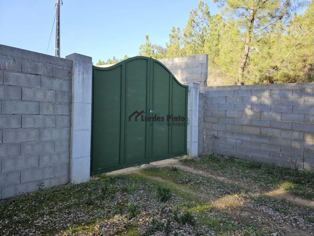 Casa venda em Castelo Branco