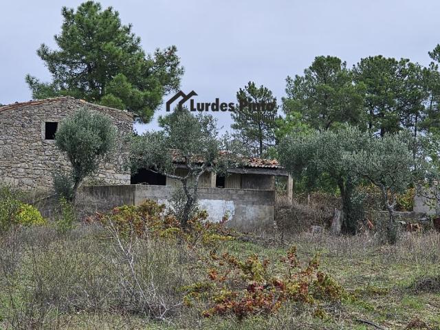 Casa venda em Castelo Branco