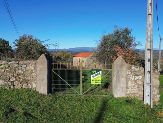 Quinta venda em Castelo Branco, Idanha-a-nova