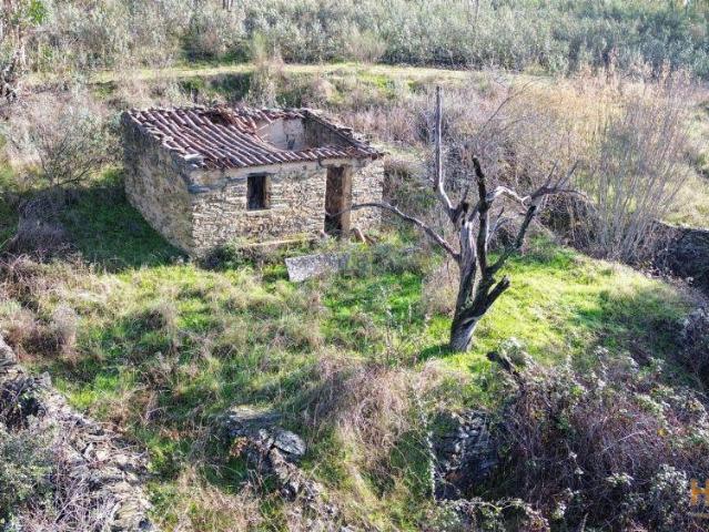 Quinta venda em Castelo Branco, Vila Velha De Ródão