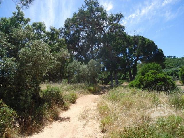 Quinta venda em Setúbal