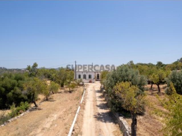 Terreno venda em Marcos Mendes, Loulé