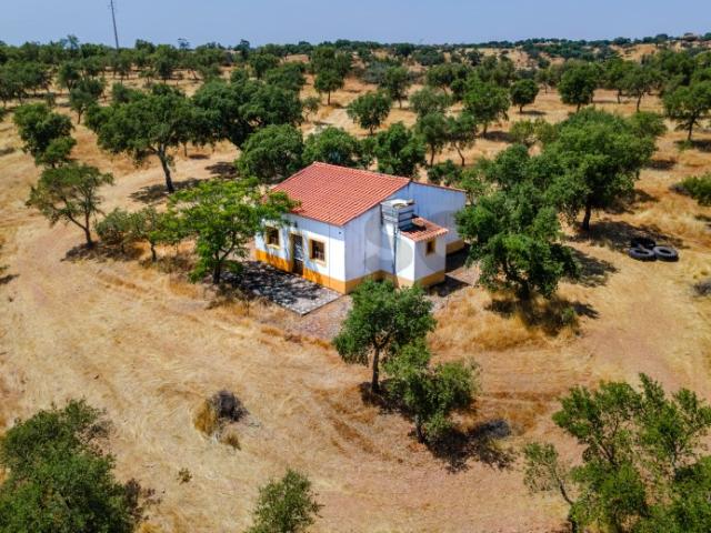 Quinta venda em Vila Verde de Ficalho, Serpa