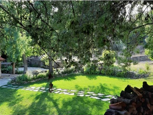 Quinta venda em Castelo Branco