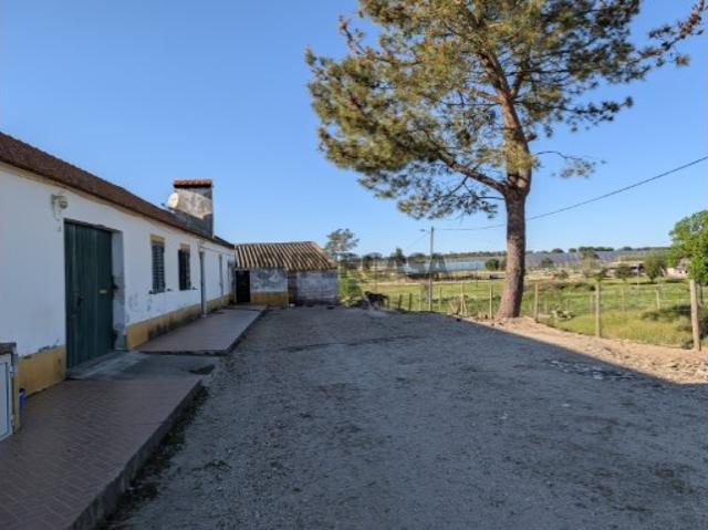 Casa venda em Colonato de Santo Isidro de Pegões, Montijo