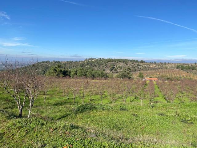 Quinta venda em Felgar, Torre De Moncorvo