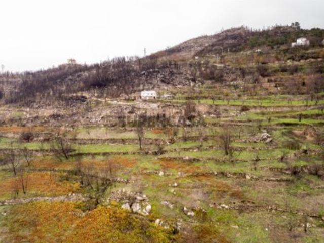 Casa venda em Guarda, Seia