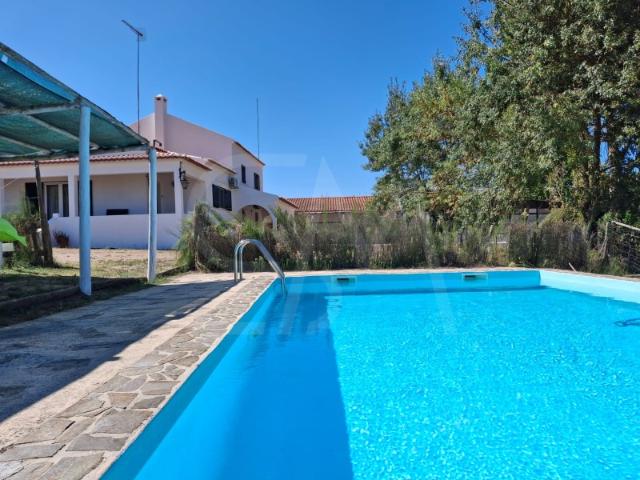 Quinta venda em Abrantes, Santarém