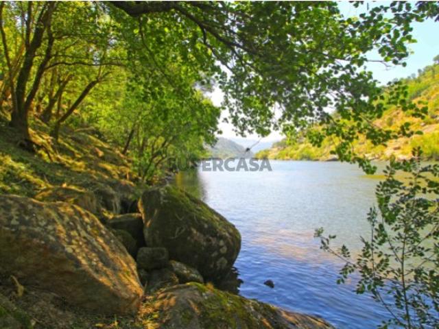 Terreno venda em Tarouquela, Viseu