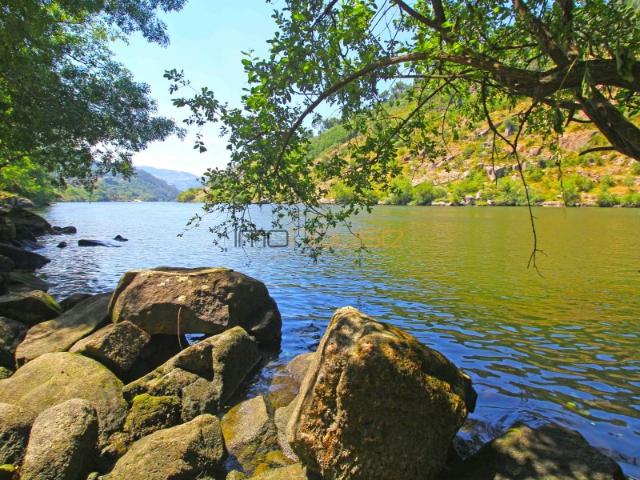 Quinta venda em Tarouquela, Viseu