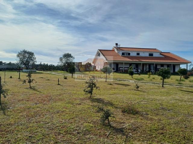 Quinta venda em Grândola, Setúbal