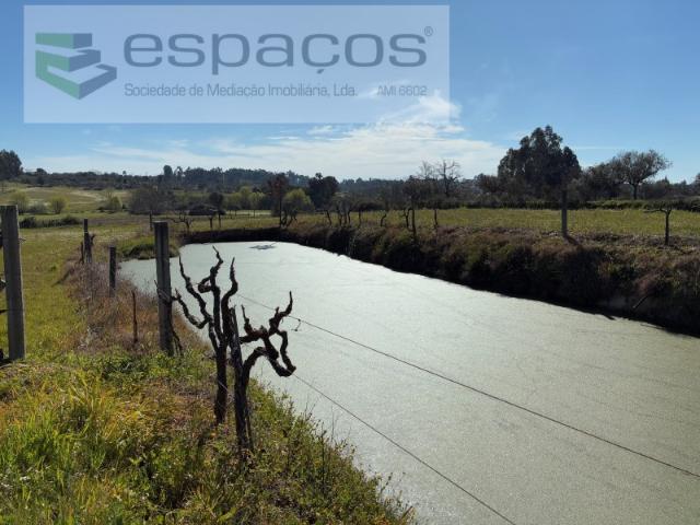 Terreno venda em Castelo Branco, Aldeia Nova Do Cabo