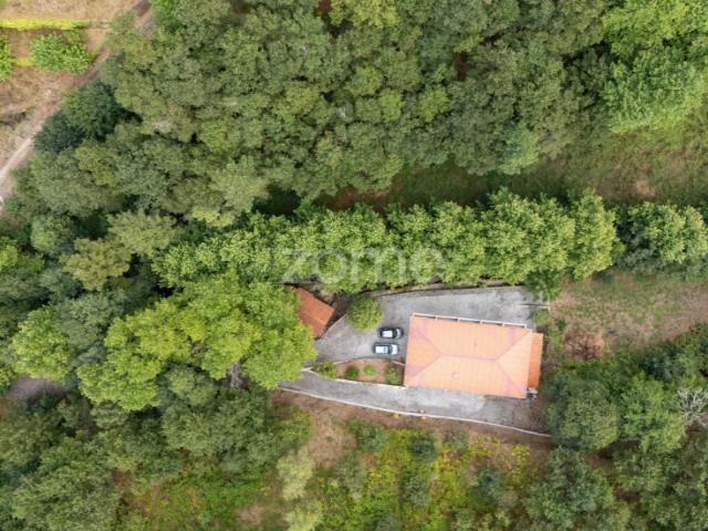 Quinta venda em Cabeceiras De Basto, Braga