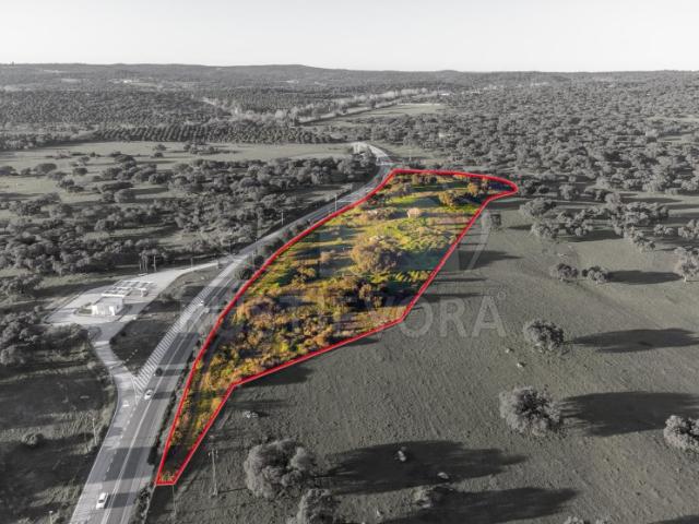 Quinta venda em Bairro da Cartuxa, Évora