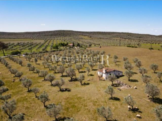 Casa venda em Sousel, Portalegre