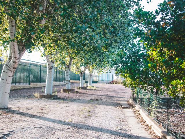 Quinta venda em Elvas, Portalegre