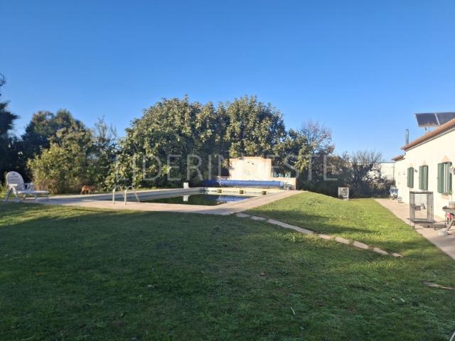 Quinta venda em Beja (Salvador e Santa Maria da Feira), Beja