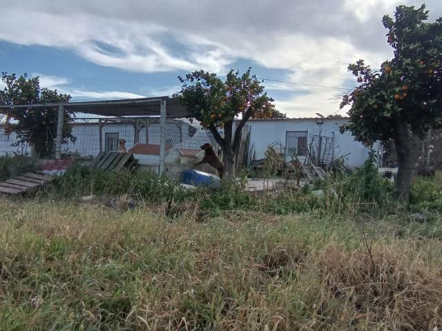 Casa venda em Alpiarça, Santarém