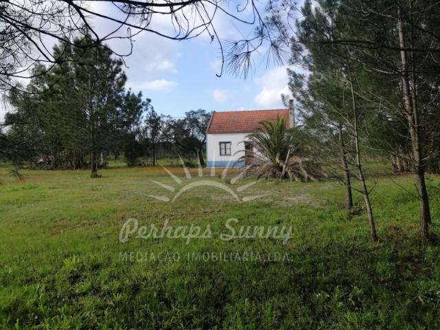 Quinta venda em Grândola, Setúbal