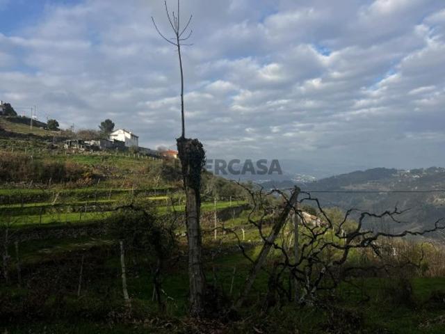 Casa venda em Cinfães, Viseu