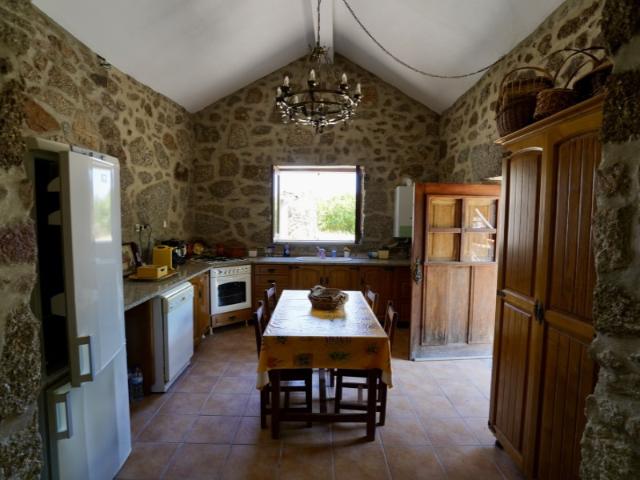 Quinta venda em Castelo Branco, Aldeia Nova Do Cabo