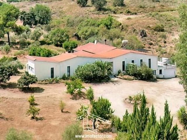 Quinta venda em Castelo Branco