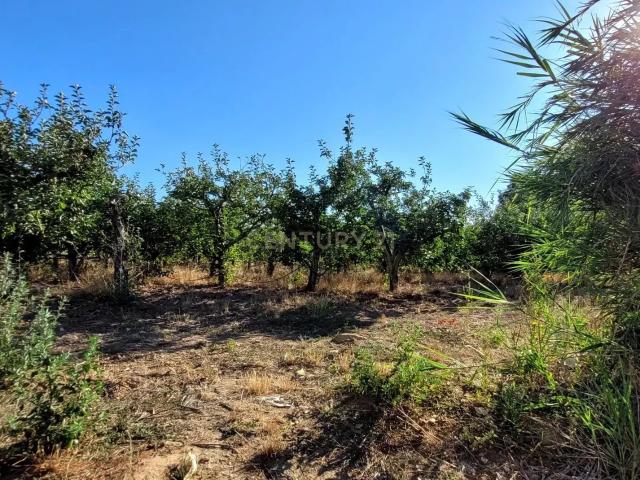 Quinta venda em Casais das Eiras, Alenquer
