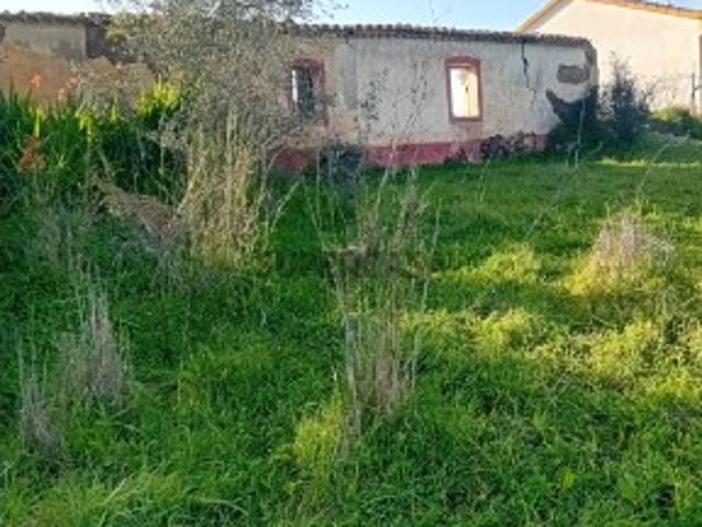 Casa venda em São Bartolomeu De Messines, Faro
