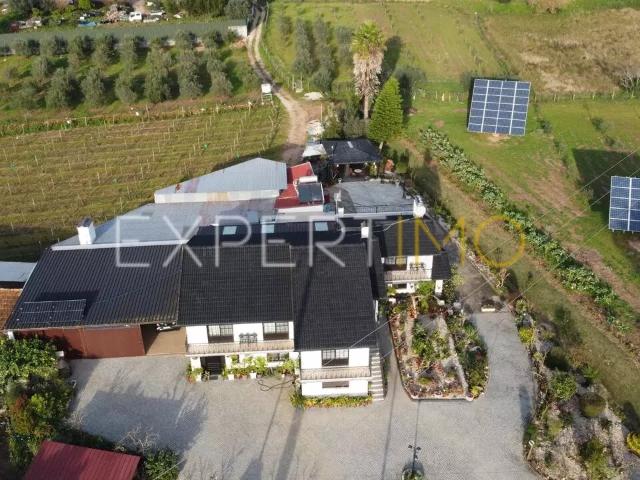 Quinta venda em Aveiro, Carreira