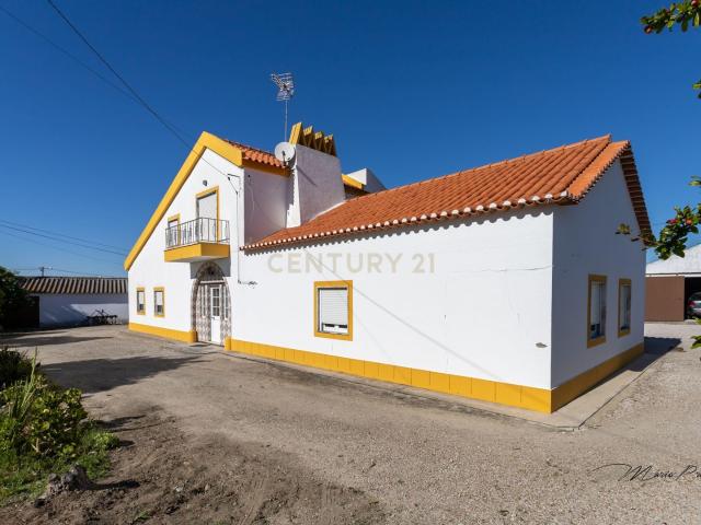 Casa venda em Colonato de Santo Isidro de Pegões, Montijo