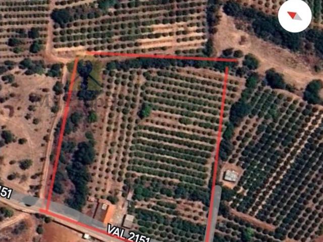Quinta venda em Silves, Faro