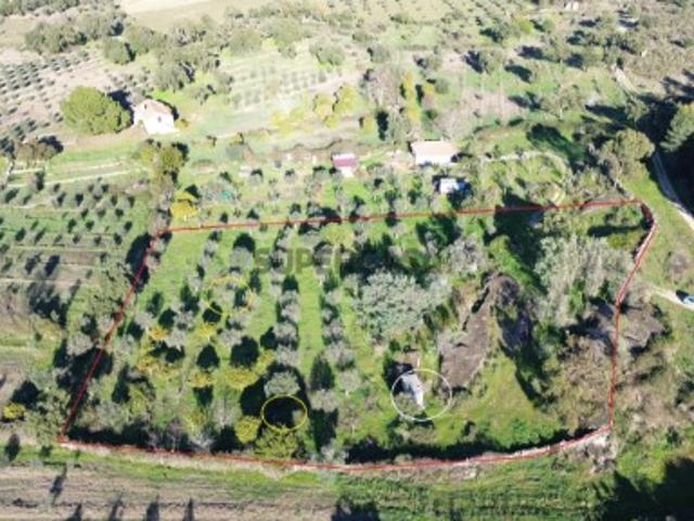 Casa venda em Castelo Branco