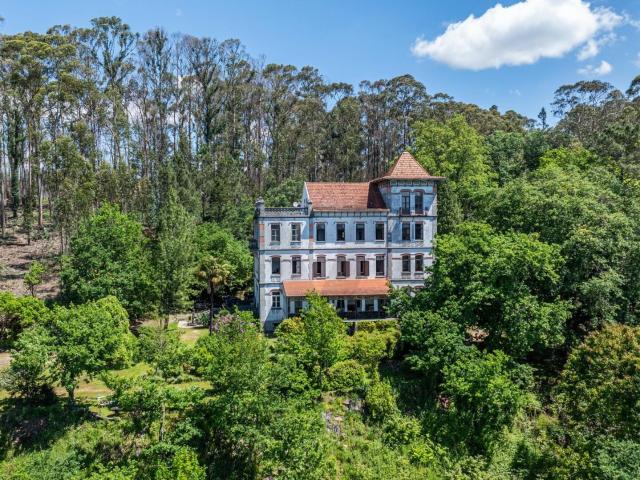 Quinta venda em Felgueiras, Porto