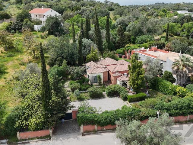 Quinta venda em Poço Longo, Olhão