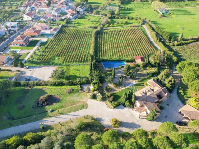 Quinta venda em Azeitão (São Lourenço e São Simão), Setúbal