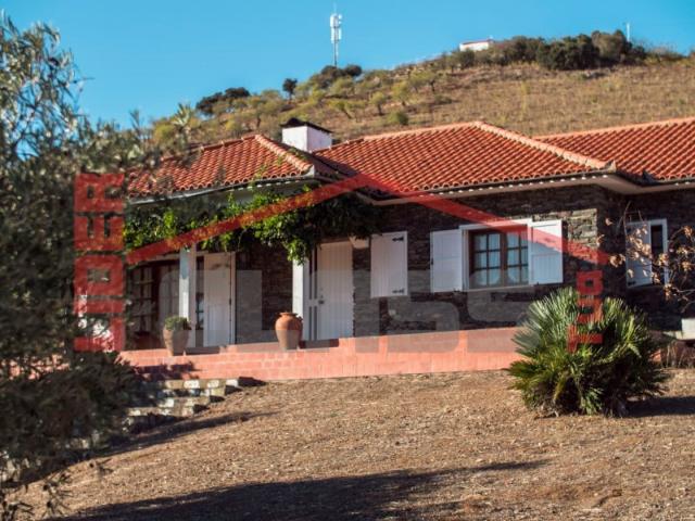 Quinta venda em Mogadouro, Bragança