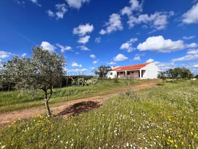 Quinta venda em Vila Verde de Ficalho, Serpa