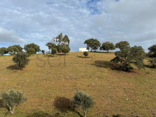 Quinta venda em Serpa, Beja