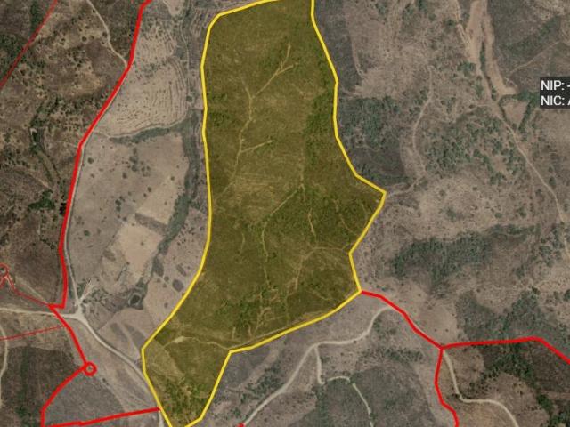 Quinta venda em Santana da Serra, Santana Da Serra