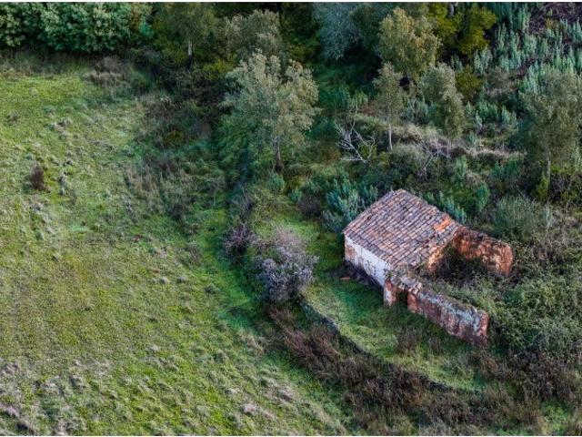Quinta venda em Sabóia, Bairro do Bem-Parece