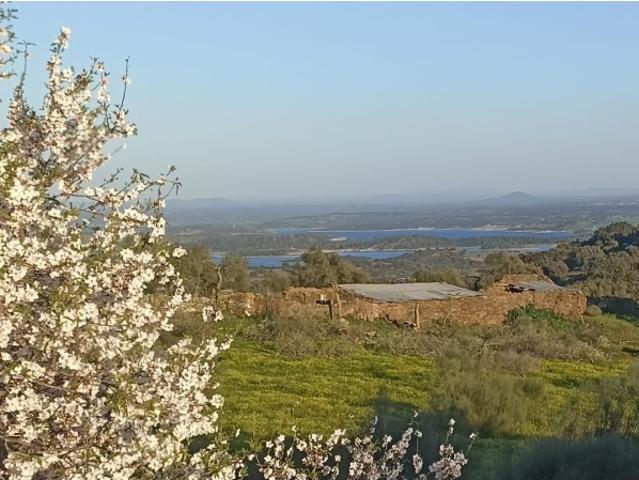 Quinta venda em Reguengos De Monsaraz, Évora