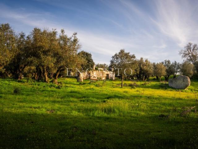 Casa venda em Montemor-o-novo, Évora